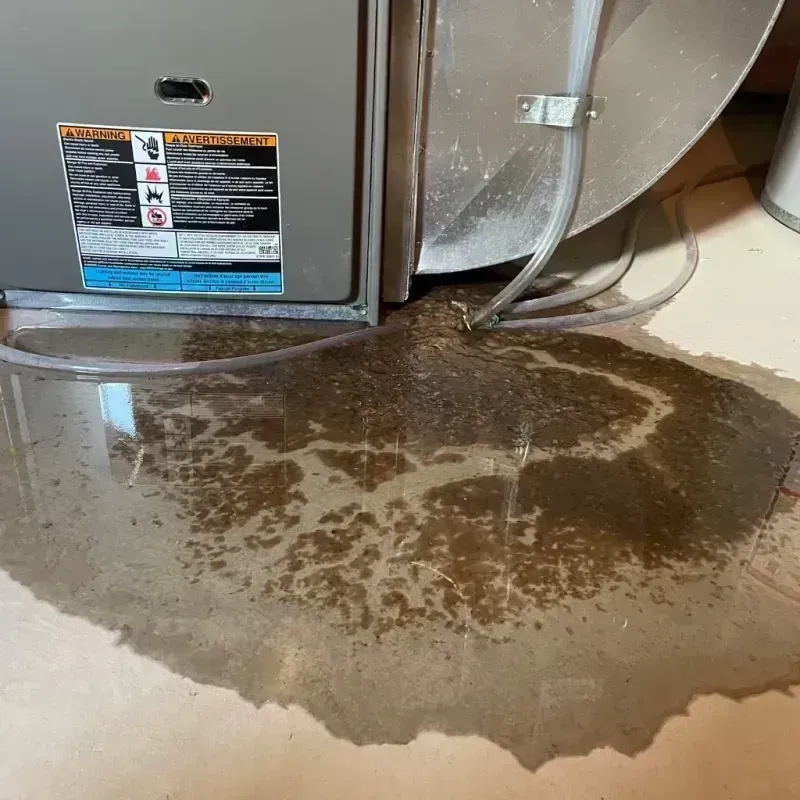 Appliance Leak Cleanup in DeKalb County, IL